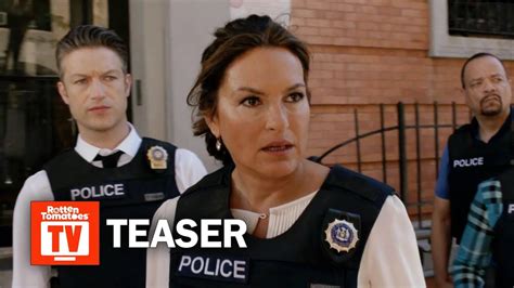 season 21 svu|special victims unit season 21.